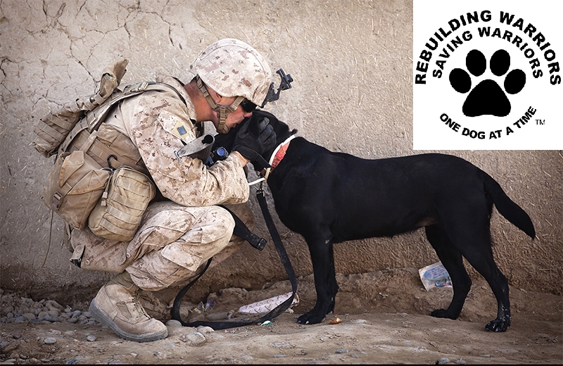 Rebuilding Warriors Providing Service Dogs to Veterans